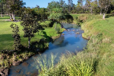 40-acre Ranch with flowing stream and a variety of expansive - photo 6