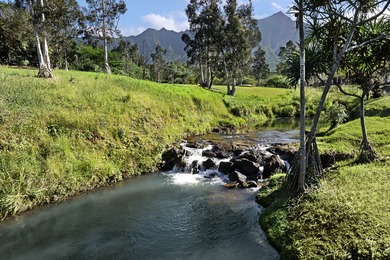 40-acre Ranch with flowing stream and a variety of expansive - photo 8