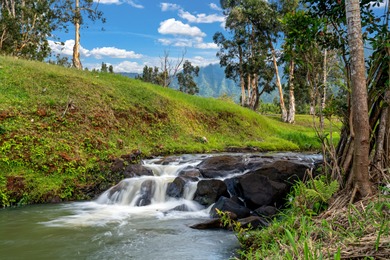40-acre Ranch with flowing stream and a variety of expansive - photo 9