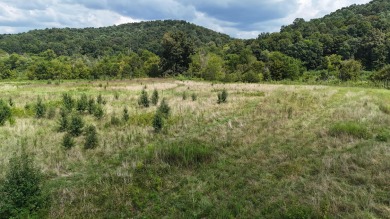 Lake Acreage For Sale in Riceville, Tennessee