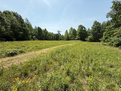 Tennessee River - Benton County Acreage For Sale in Holladay Tennessee