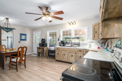 AFFORDABLE RANCH close to downtown Blairsville! Rare opportunity - photo 10