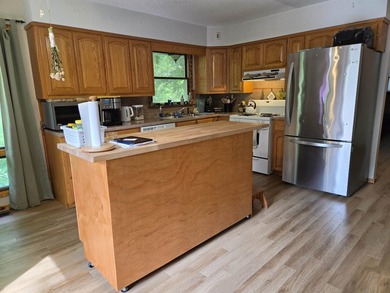 Lake Vagabond home with wraparound deck and patio. Privacy - photo 4