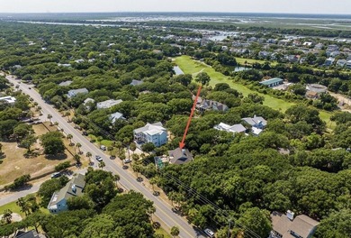 Embrace the ultimate Lowcountry coastal lifestyle with this - photo 4