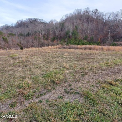 Lake Lot For Sale in Tazewell, Tennessee