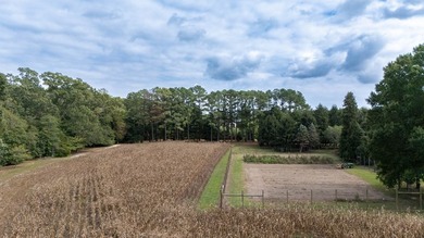 A Timeless Beauty nestled on 18.1 +/- acres. Boasting with Charm - photo 10