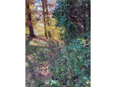 Lake Norman Lot For Sale in Statesville North Carolina