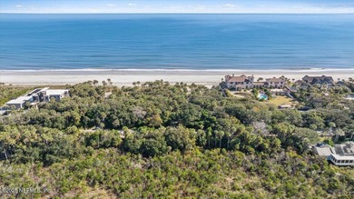 An exceptional & rare offering on prestigious Ponte Vedra - photo 2