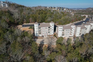 Lakefront Condo Package Here's a rare opportunity at Table Rock - photo 34