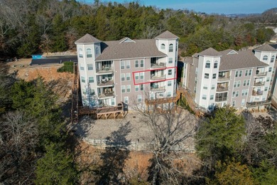 Lakefront Condo Package Here's a rare opportunity at Table Rock - photo 35