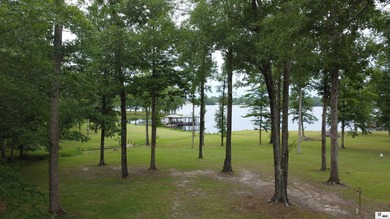 Welcome to the Lake Life. Plenty of room and privacy for you and - photo 3