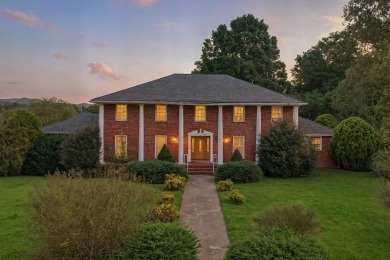 Lake Home For Sale in Ellijay, Georgia