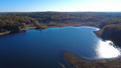 Welcome to Chenango Lake Preserve, a rare gem in Livingston - photo 2