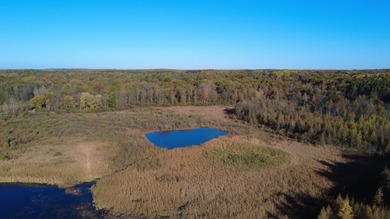 Welcome to Chenango Lake Preserve, a rare gem in Livingston - photo 5