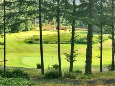 Lake Home on .8 acres, 105 feet of no bank waterfront - photo 48