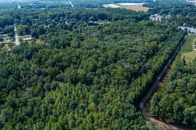 10.04 acres located within the Town of Kilmarnock! This - photo 9