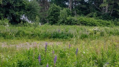 1.79A+- acres in desirable Rockport, ME with private ROW access - photo 34