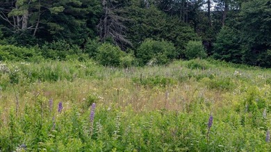 1.79A+- acres in desirable Rockport, ME with private ROW access - photo 36