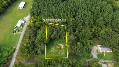 Watts Bar Lake Lot For Sale in Spring City Tennessee
