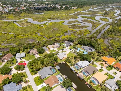 Sailboat Country, no fixed bridges! Build your dream home on - photo 5