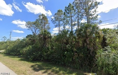 A New opportunity in Golden Gate Estates with 1.14 Acres with No - photo 1