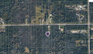 A New opportunity in Golden Gate Estates with 1.14 Acres with No - photo 4