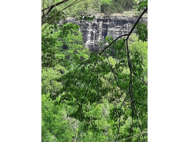 Lake Lot For Sale in Mountain View, Arkansas