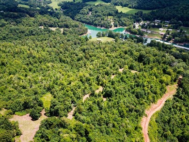 Introducing Lot 9 by Norris Lake in Union County, Tennessee: - photo 11