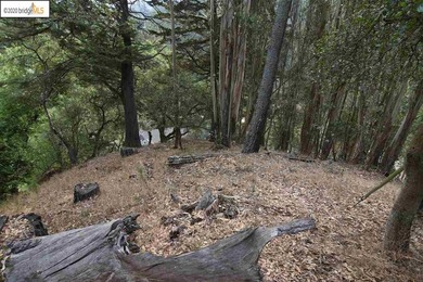 PRICE REDUCED!!! Tremendous opportunity to buy a Lot and build a - photo 3