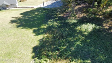 Great building lot ready for your dream home in Rutledge right - photo 3