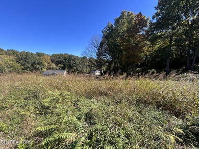 Great building lot ready for your dream home in Rutledge right - photo 5