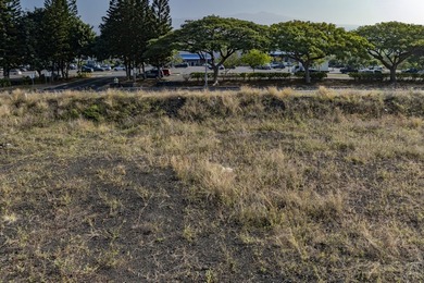 LOCATION! Conveniently located in Kailua-Kona town, close to all - photo 8