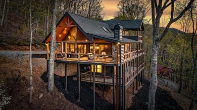 Lake Home For Sale in Blue Ridge, Georgia