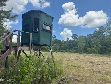 This is a one-of-a-kind gem of a tract. It's literally within 5 - photo 12