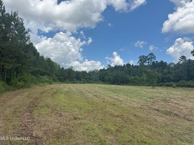This is a one-of-a-kind gem of a tract. It's literally within 5 - photo 13