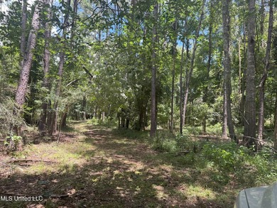 This is a one-of-a-kind gem of a tract. It's literally within 5 - photo 14