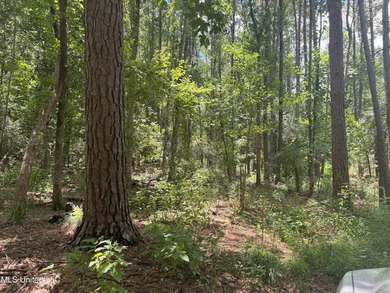 This is a one-of-a-kind gem of a tract. It's literally within 5 - photo 15