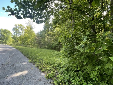 1 Acre Lake Cumberland Building Lot - photo 3