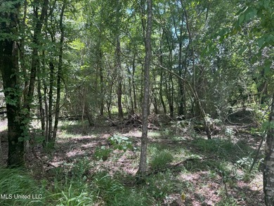 This is a one-of-a-kind gem of a tract. It's literally within 5 - photo 17