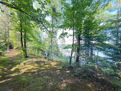 Discover your perfect escape on Mantrap Lake, one of the area's - photo 17