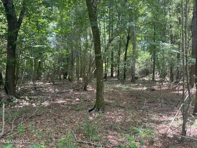 This is a one-of-a-kind gem of a tract. It's literally within 5 - photo 18
