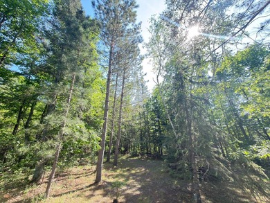 Discover your perfect escape on Mantrap Lake, one of the area's - photo 18