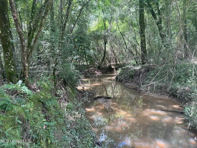 This is a one-of-a-kind gem of a tract. It's literally within 5 - photo 19
