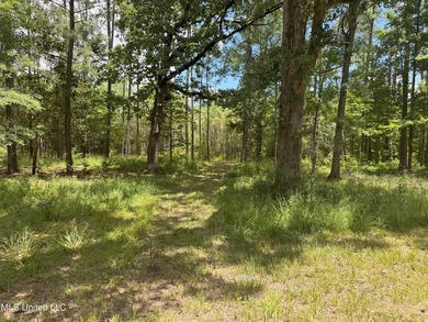This is a one-of-a-kind gem of a tract. It's literally within 5 - photo 20