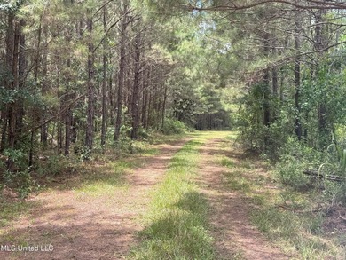 This is a one-of-a-kind gem of a tract. It's literally within 5 - photo 22