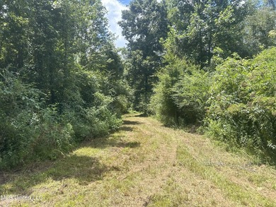 This is a one-of-a-kind gem of a tract. It's literally within 5 - photo 23