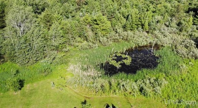 80 Acres of Upper Peninsula Paradise Bordering Ottawa National - photo 27