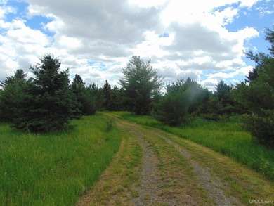 80 Acres of Upper Peninsula Paradise Bordering Ottawa National - photo 28