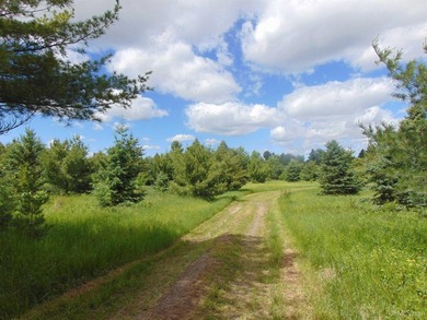 80 Acres of Upper Peninsula Paradise Bordering Ottawa National - photo 29