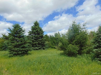 80 Acres of Upper Peninsula Paradise Bordering Ottawa National - photo 30